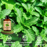 Wuvezrub bougie menthe verte parfum maison ambiance chaleureuse
