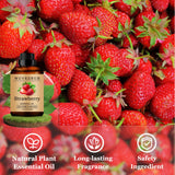 Wuvezrub huile fraise – idéale pour DIY parfums dans bougies et savons.