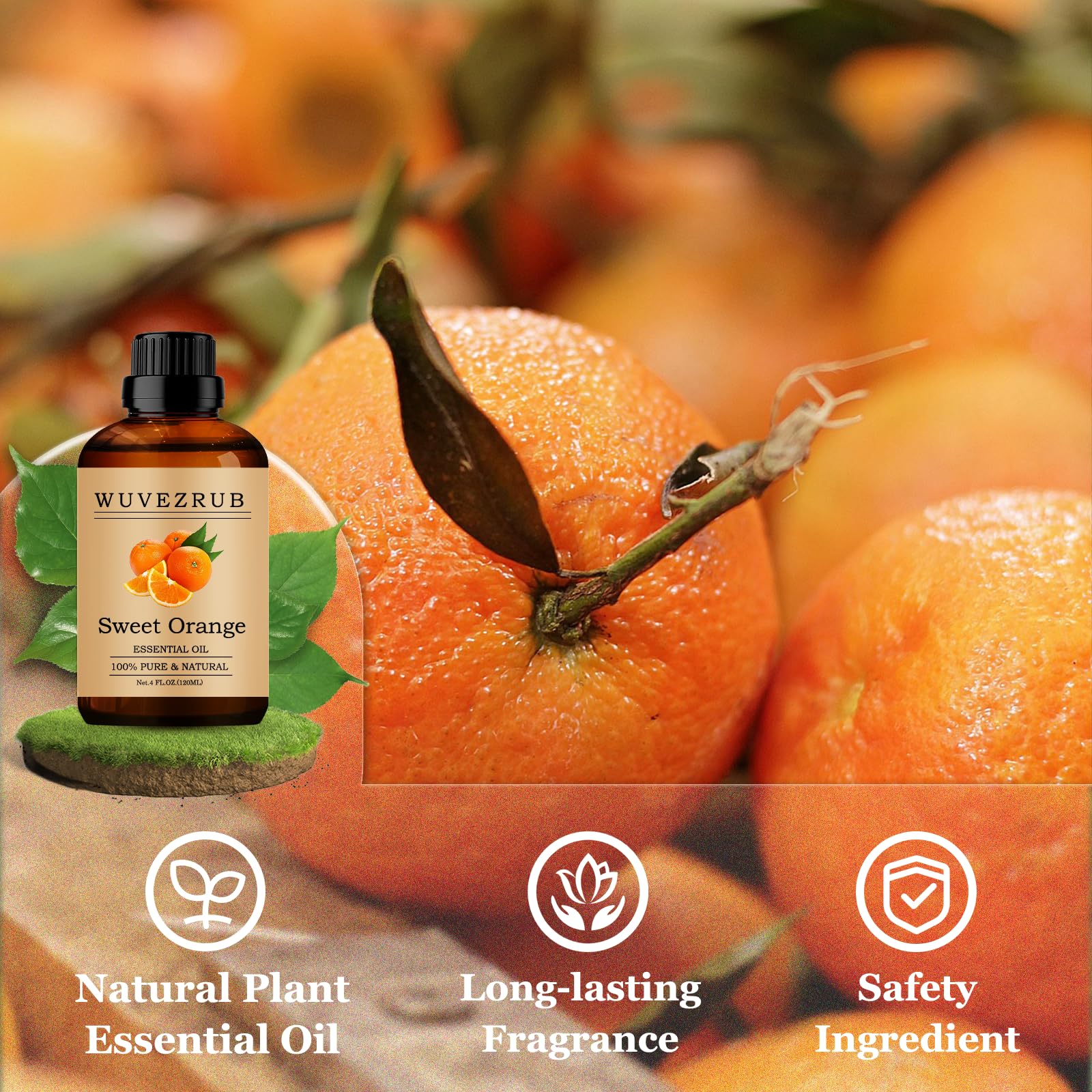Wuvezrub bougies parfum orange douce pour DIY parfum durable.