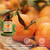 Wuvezrub bougies parfum orange douce pour DIY parfum durable.