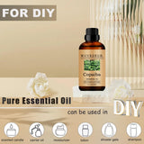 Diffuseur aromathérapie prêt à diffuser l'huile Copaiba Wuvezrub.
