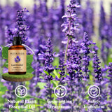 Wuvezrub diffuseur aromathérapie lavande crée une ambiance apaisante.