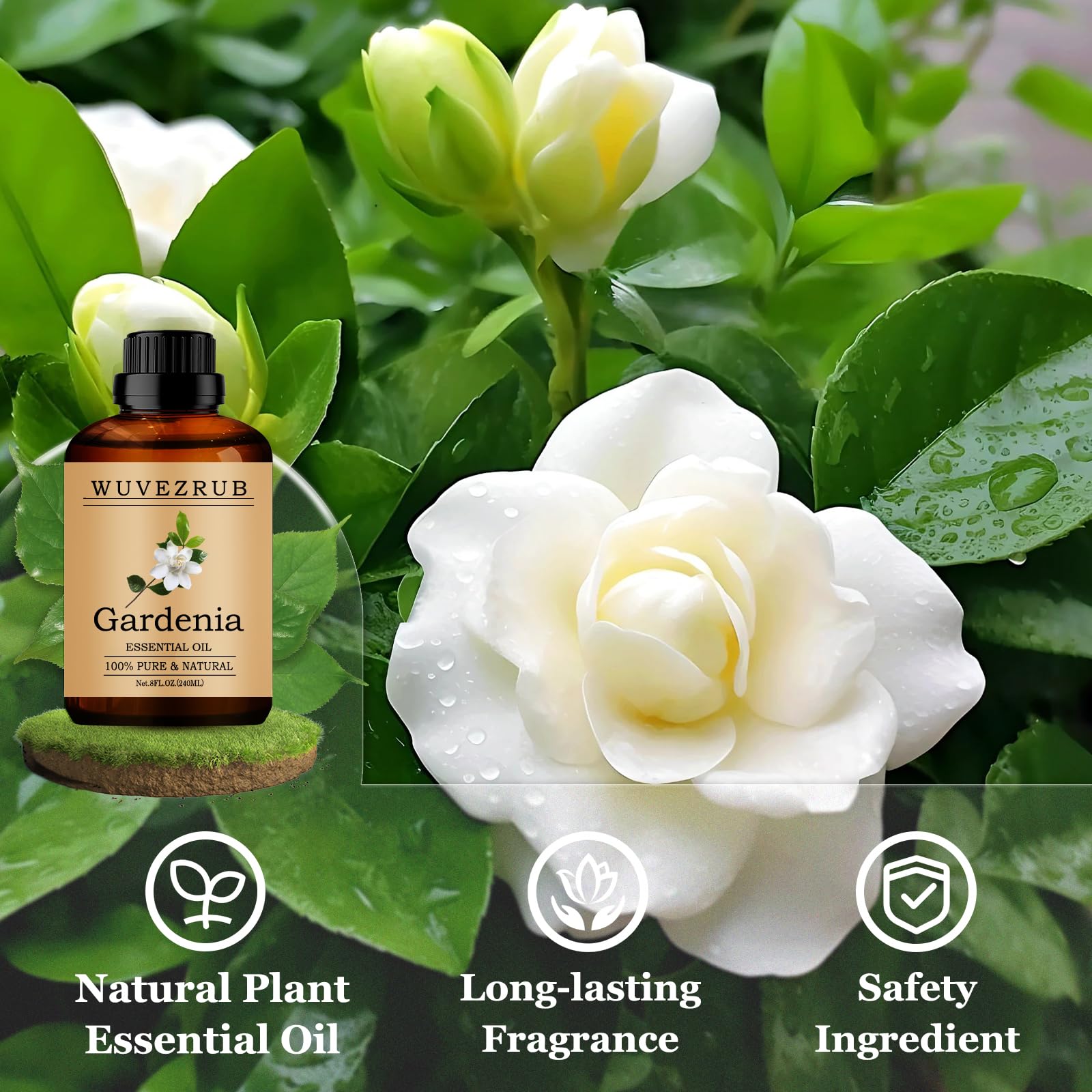 Utilisation DIY Gardenia Wuvezrub pour parfums et cosmétiques