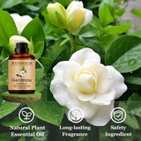 Utilisation DIY Gardenia Wuvezrub pour parfums et cosmétiques