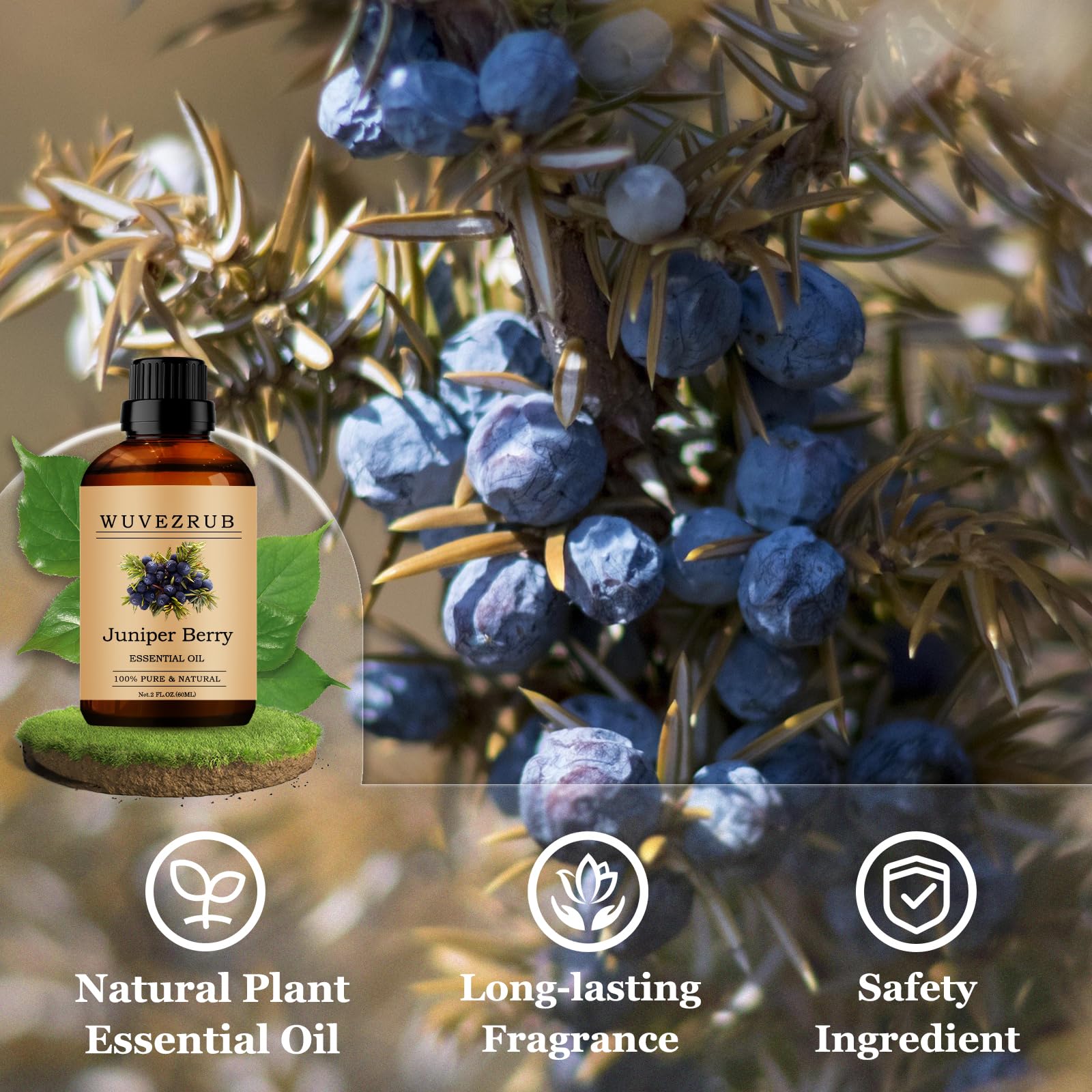 Wuvezrub Genévrier, parfum maison DIY pour bougies et savons durables.