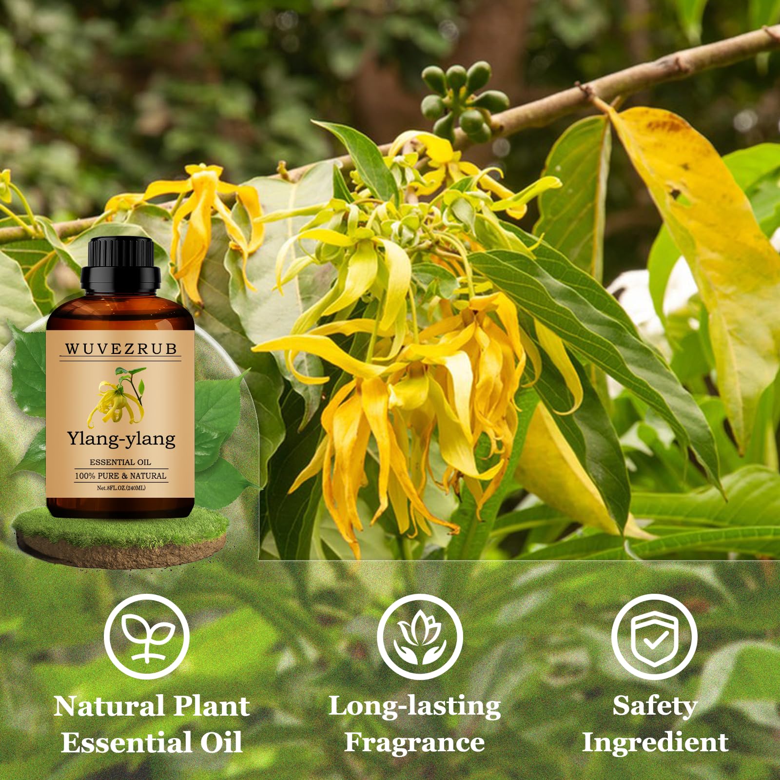 Wuvezrub gouttes huile Ylang-Ylang pour parfumer bougies et cosmétiques.
