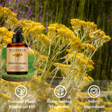Wuvezrub Helichrysum : enrichit bougies et cosmétiques avec parfum durable.