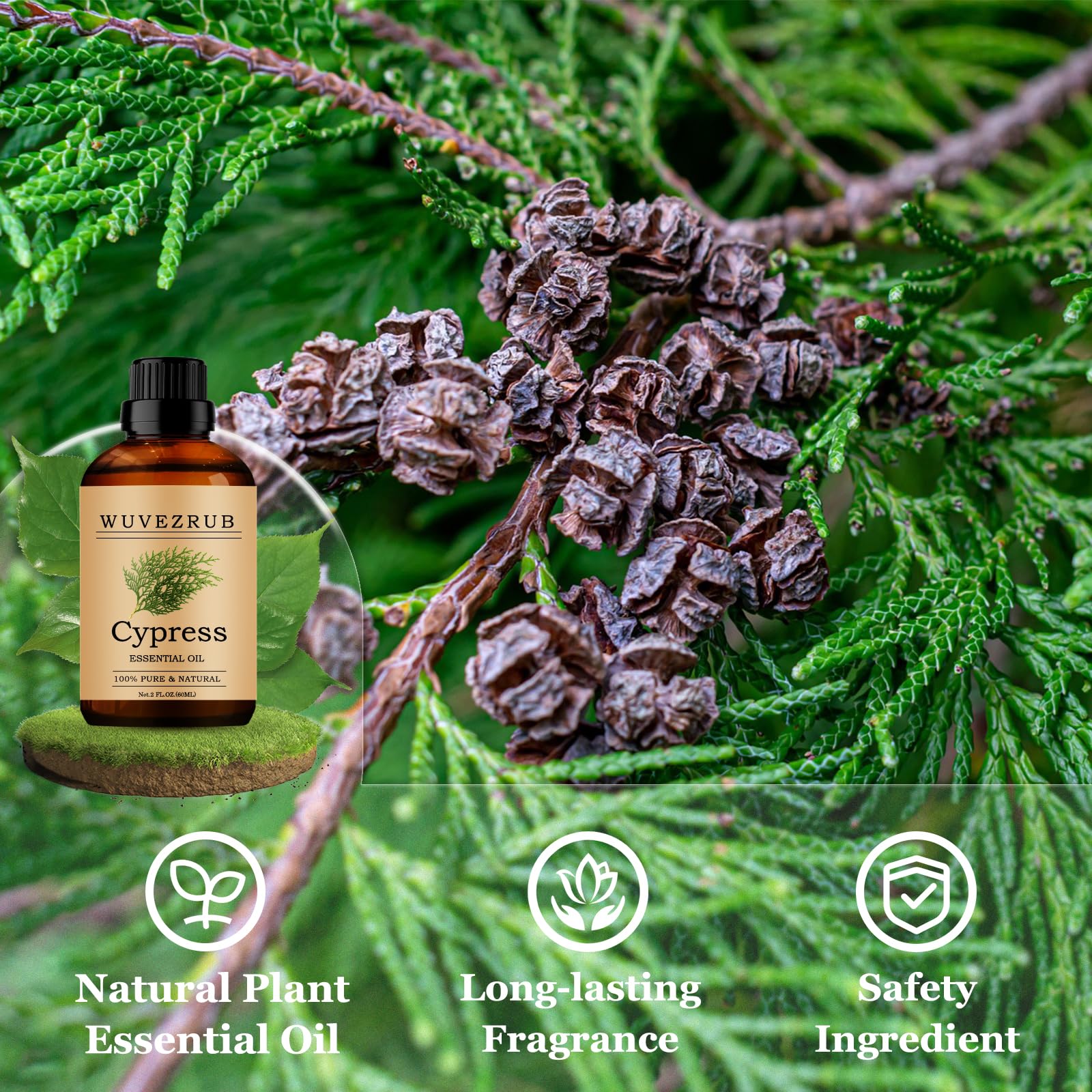 Wuvezrub Cypress, soin peau et cheveux grâce à une huile pure.