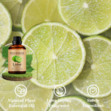 Wuvezrub citron vert – parfum durable pour bougies et savons maison