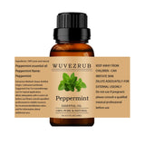 Bouteille Wuvezrub menthe 10 ml, pratique pour diffusion.