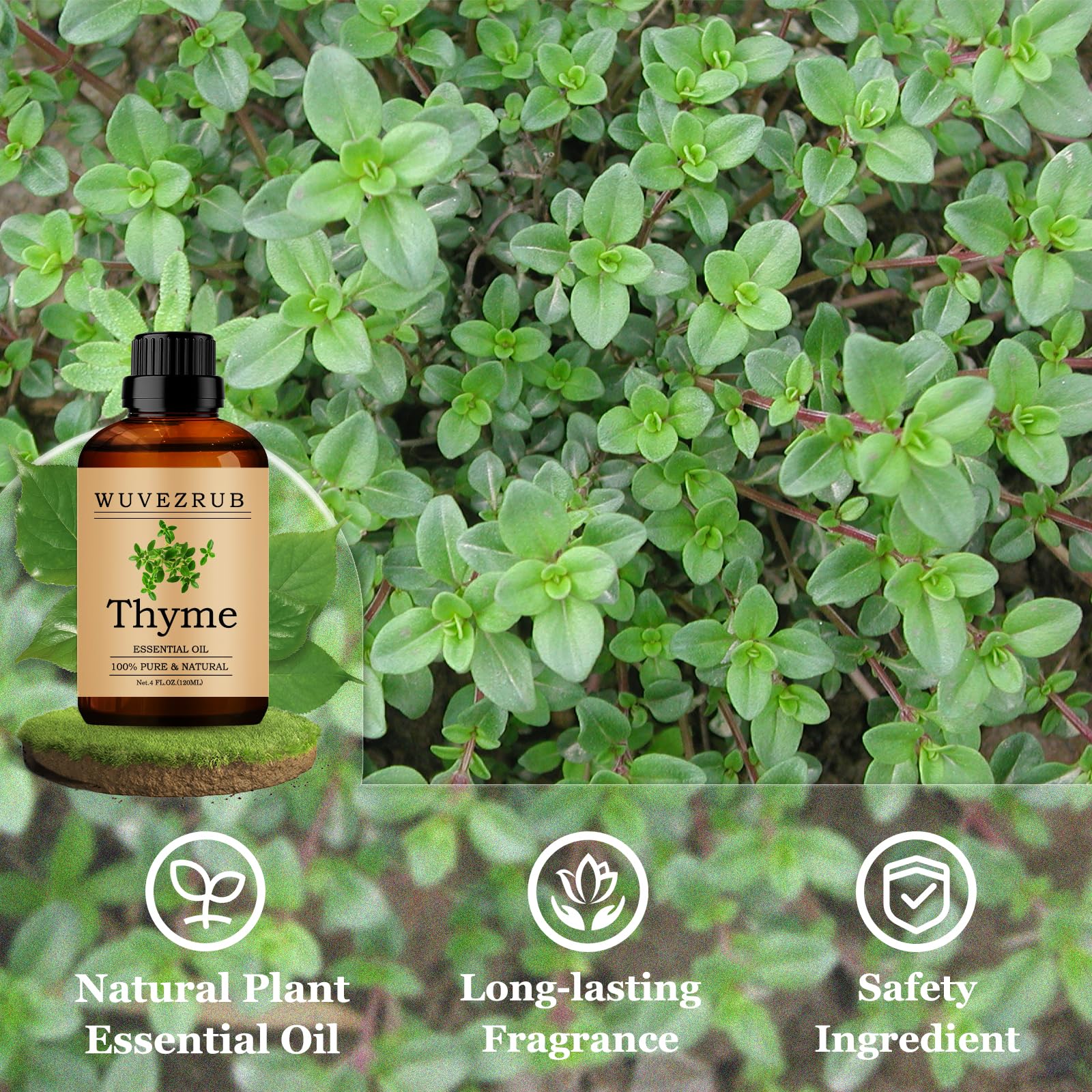 Wuvezrub huile thym-bougie-diy apporte une fragrance naturelle durable.