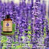 Wuvezrub lavande – parfumer bougies et cosmétiques faits maison.