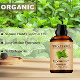 Soin peau: Wuvezrub menthe verte dans tonique ou sérum.