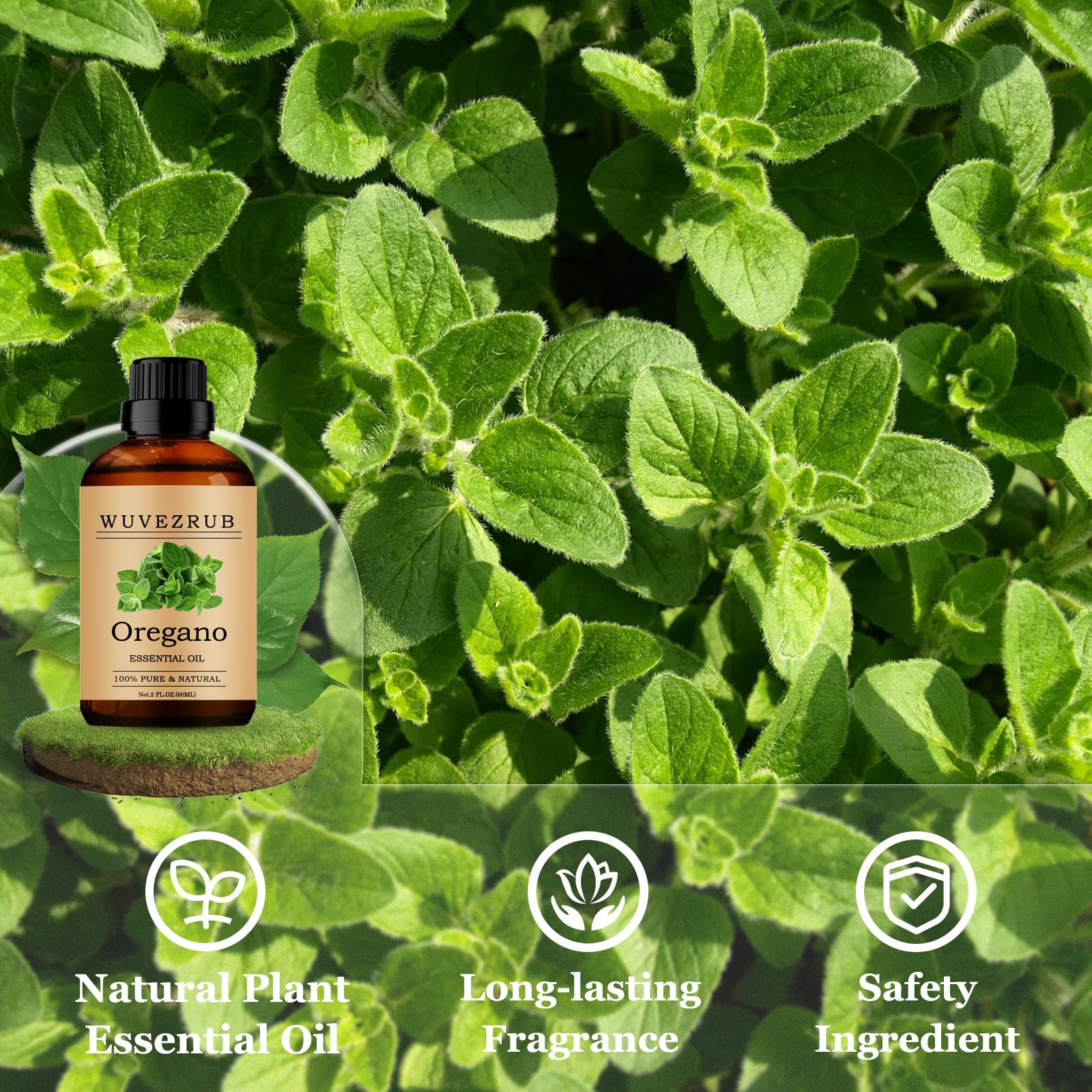 Wuvezrub Oregano parfums faits maison pour bougies et cosmétiques