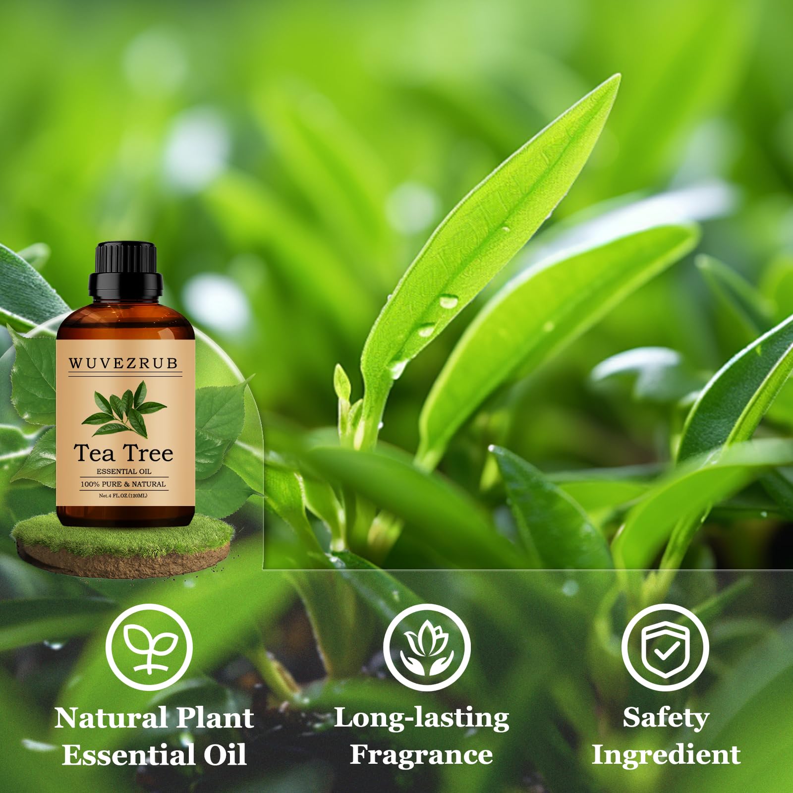 Parfum maison pour bougies avec Wuvezrub arbre à thé.