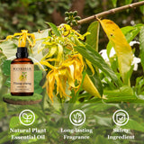Wuvezrub parfum maison: ajout à bougies et savons pour parfum durable.