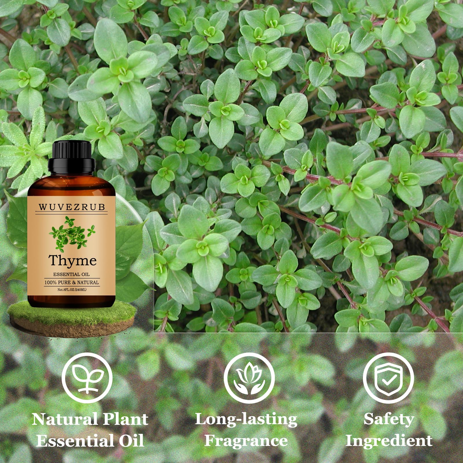 Parfum thym Wuvezrub pour bougies et savons faits maison.