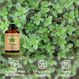 Parfum thym Wuvezrub pour bougies et savons faits maison.