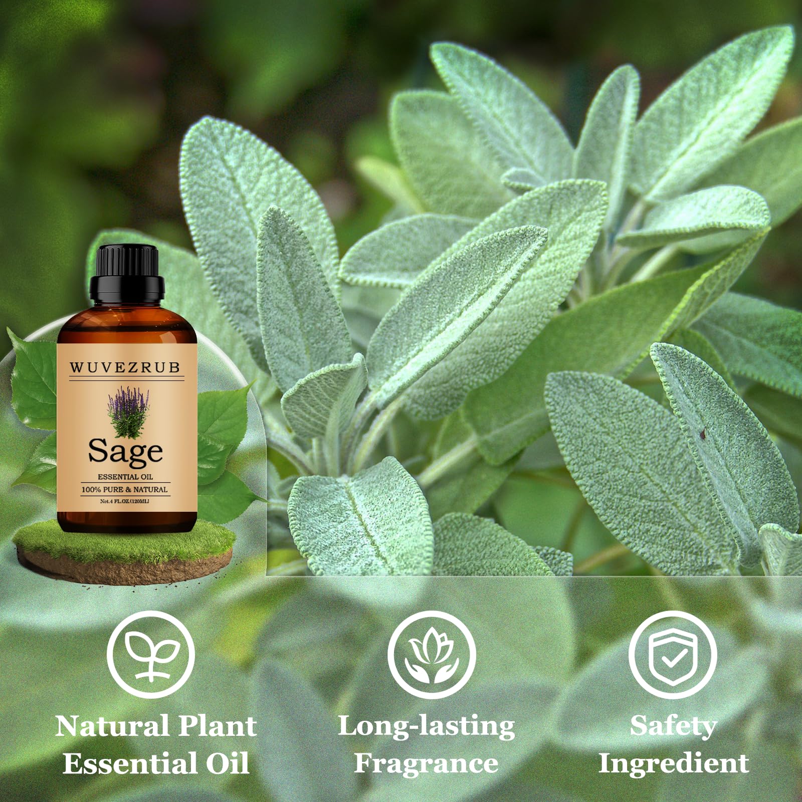 Wuvezrub Sage parfum maison idéale pour bougies et soins maison.