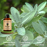 Wuvezrub Sage parfum maison idéale pour bougies et soins maison.