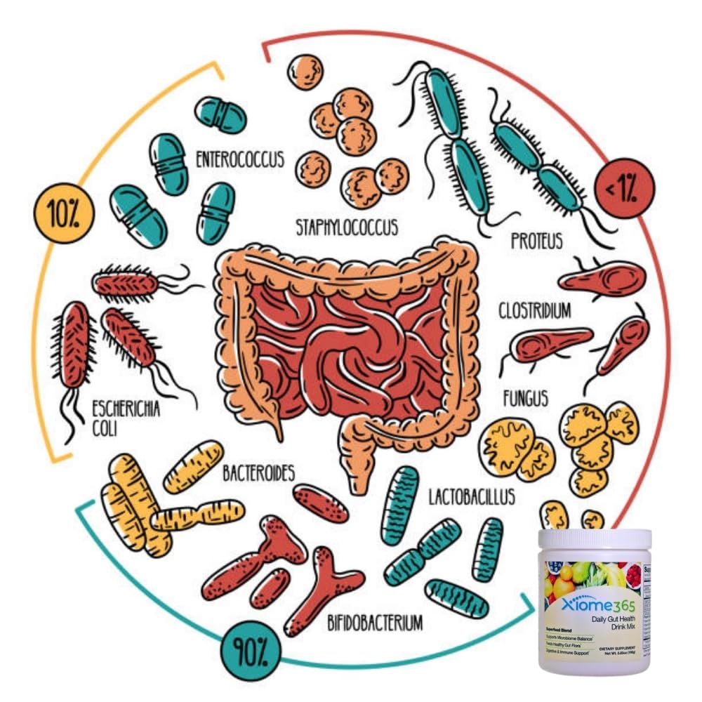 Xiome365 Xooma: sans sucre, sans lait, option saine au quotidien.