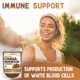 Texture fine de la poudre Chaga prête à mesurer avec scoop