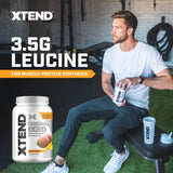 Xtend saveur mangue-folle : saveur fruitée sans sucre pour le plaisir.