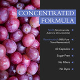 Xtravit Résveratrol NAD+ – utilisation quotidienne facilitée pour énergie et concentration.