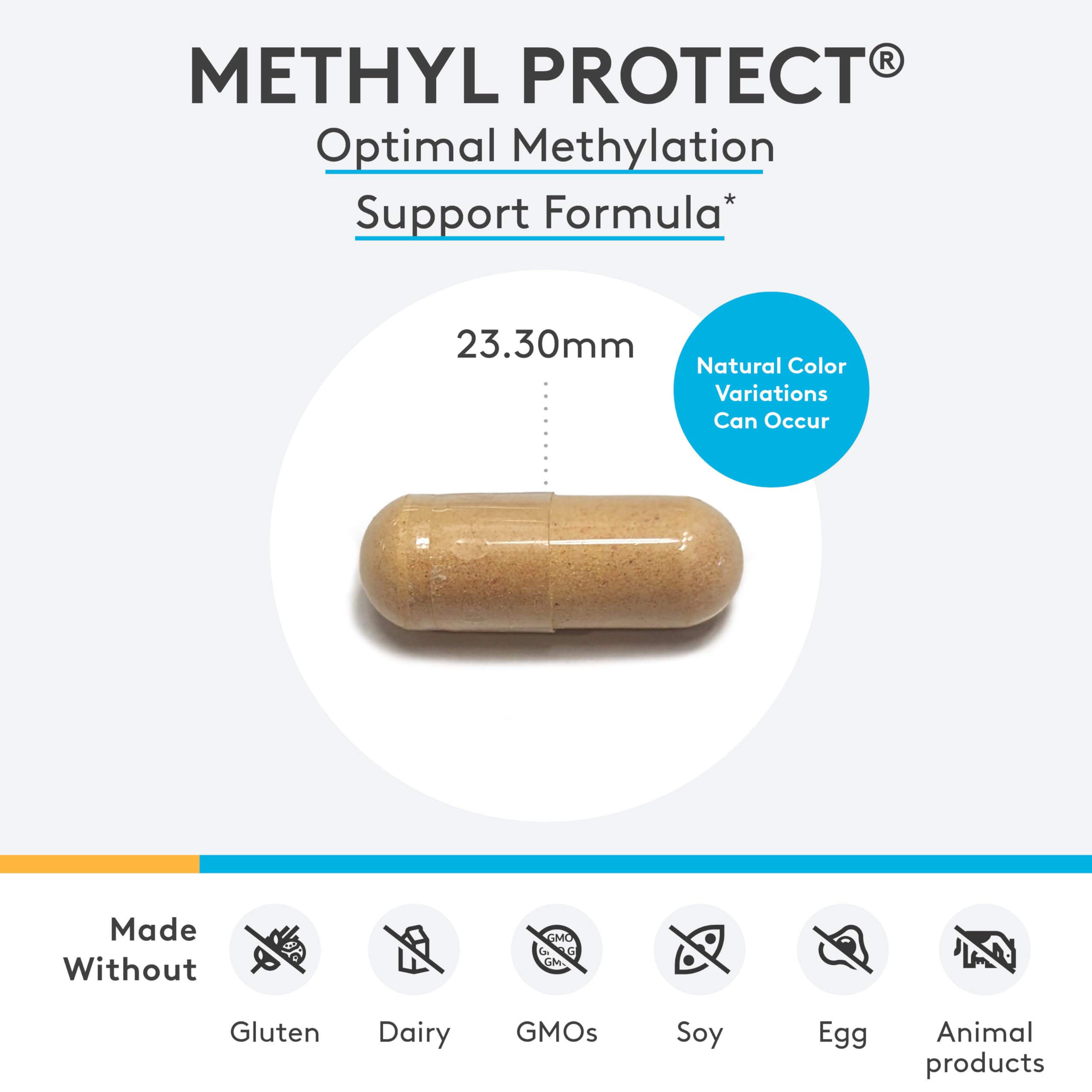 XYMOGEN Methyl Protect : capsules faciles à avaler pour une routine quotidienne.