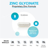 XYMOGEN chelatee en capsule illustre une absorption optimisee.