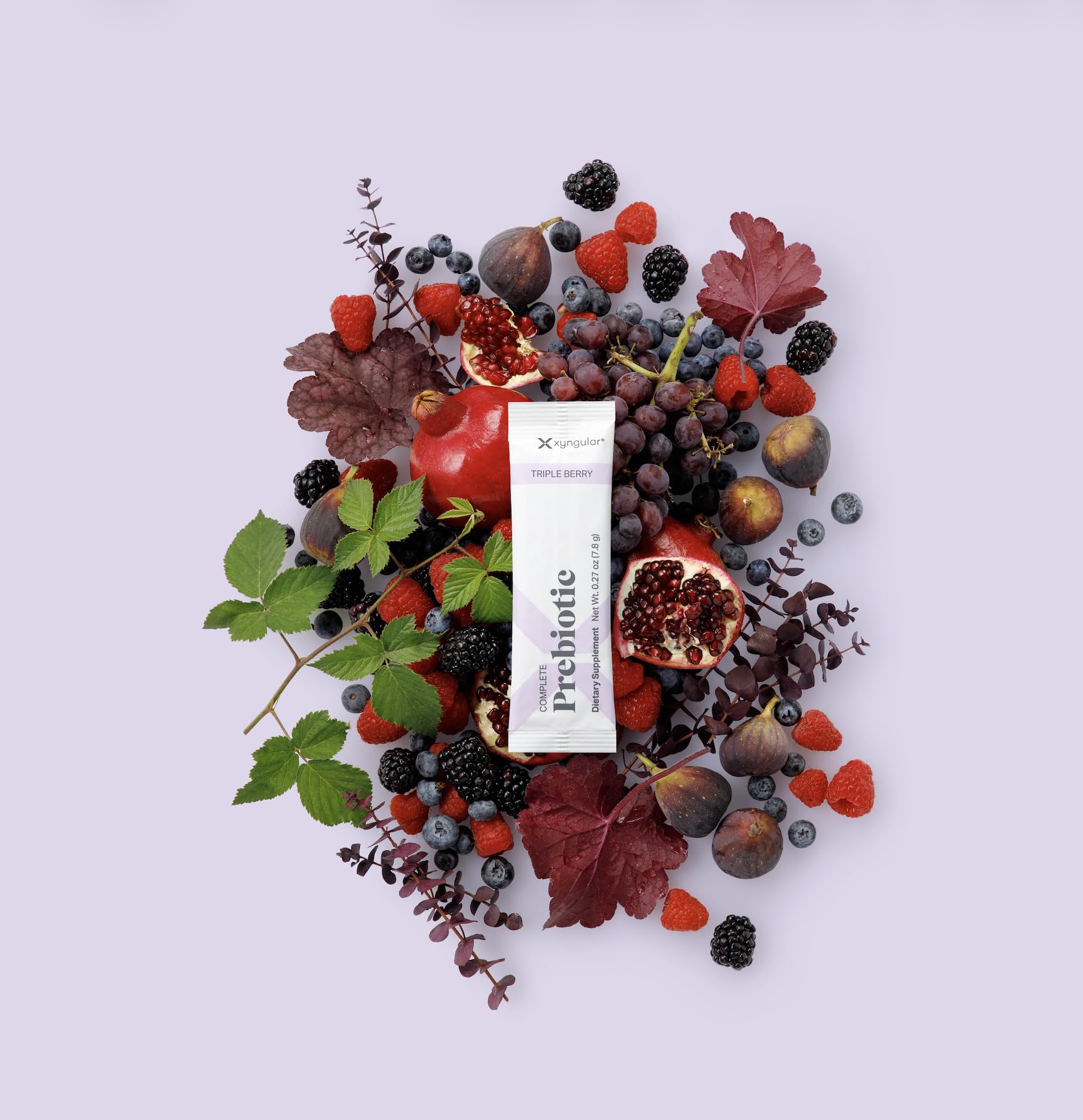 Xyngular Fibre Prébiotique Complète, emballage carton-logo clair, prêt à ranger