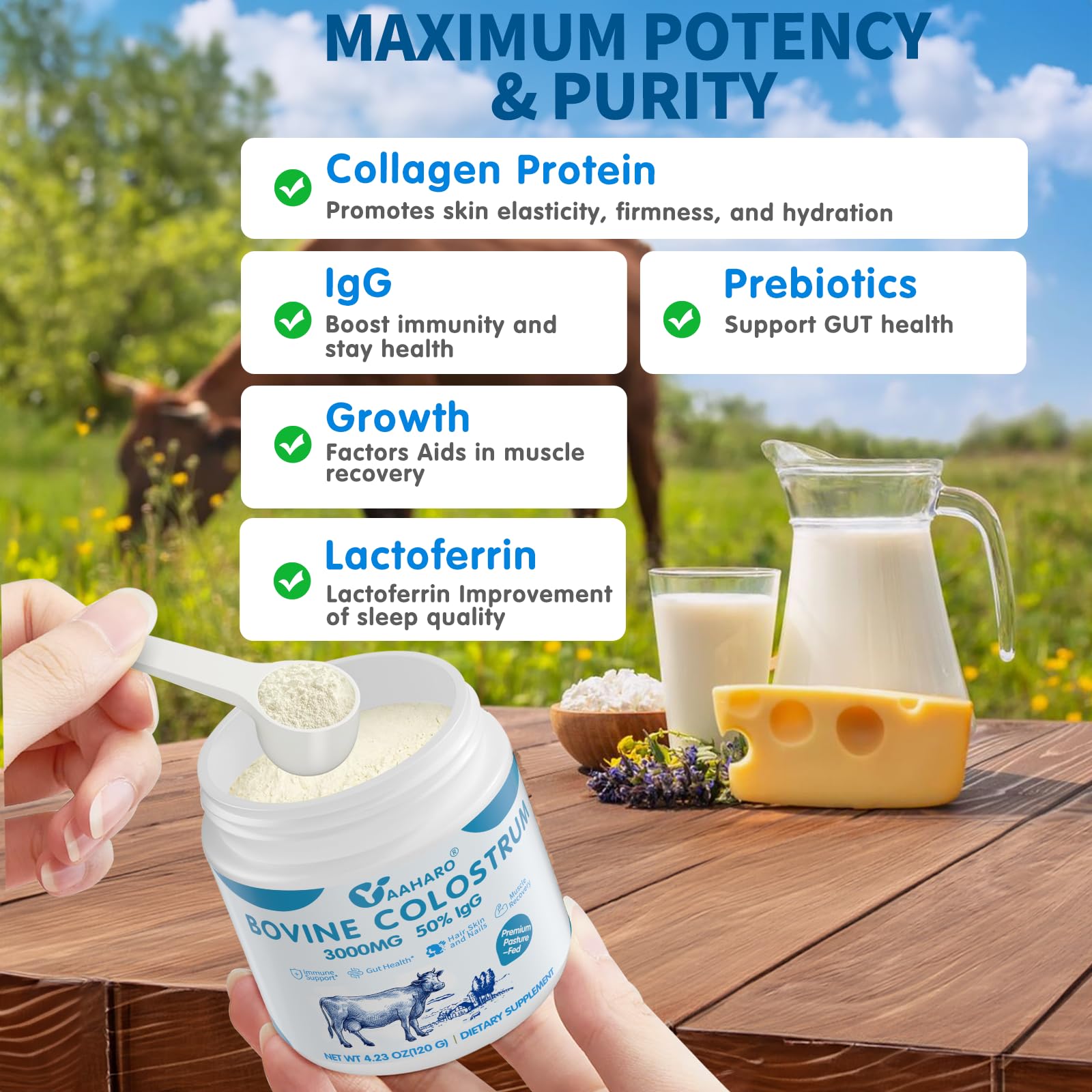 Yaaharo Colostrum en poudre, soutien digestif potentiel pour votre quotidien.