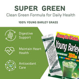 Verre avec poudre verte Yamakan – boisson nutritive