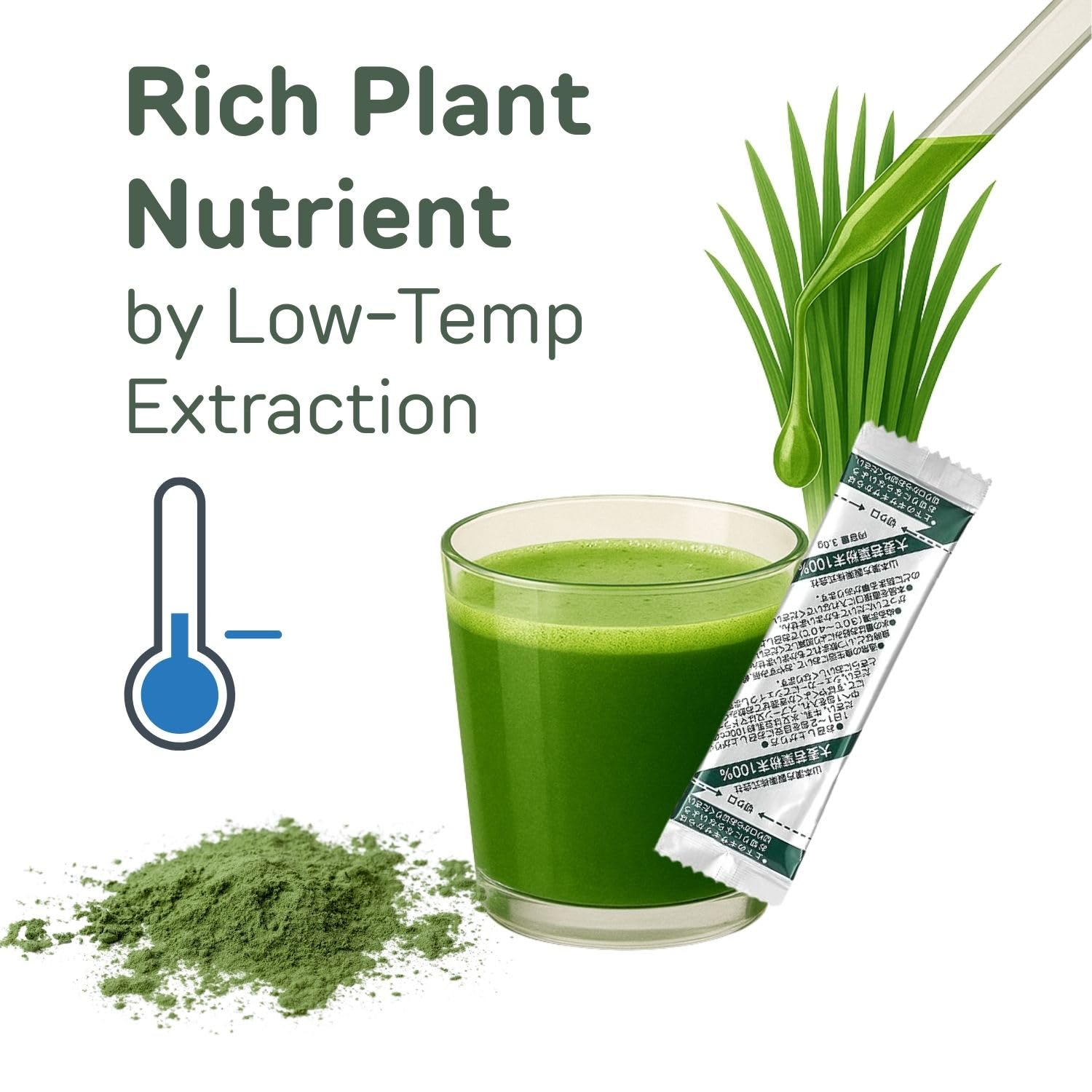 Verre vert contenant Yamamoto Kanpoh Barley Grass