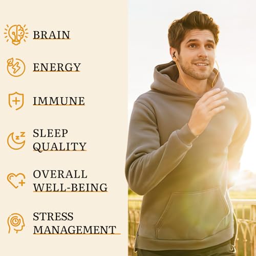 Gélules de 800 mg Yasumako Reishi pour un soutien potentiel