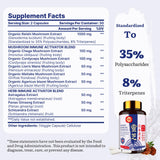 Capsules végétales Yasumako Reishi, faciles à avaler dans une routine bien-être.