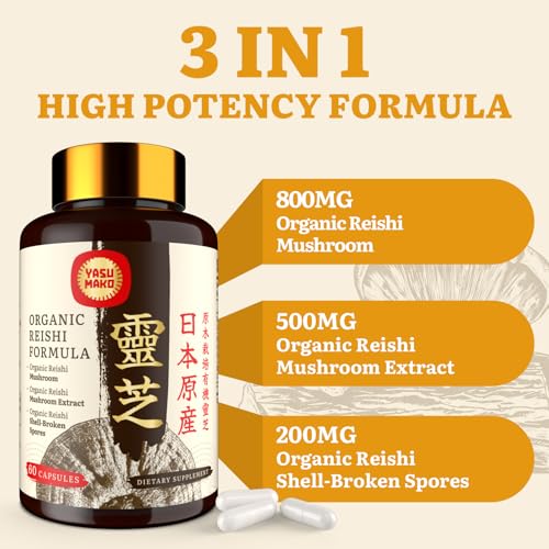 Spores cassés réishi en capsules pour dosage précis par jour
