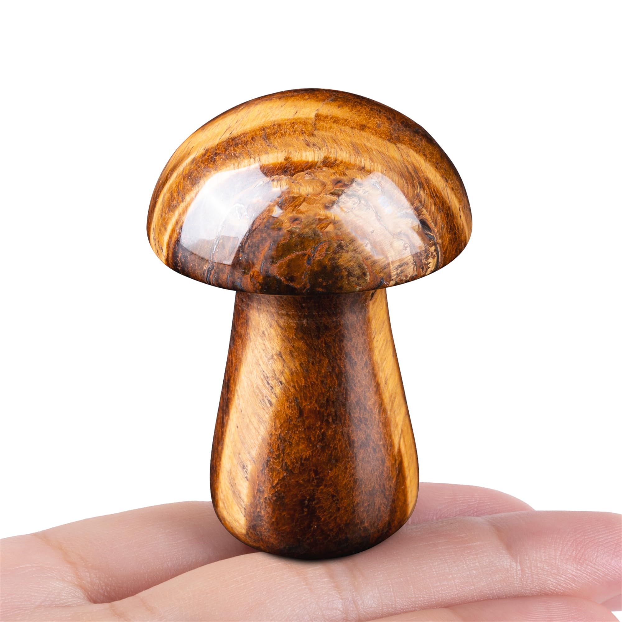 YATOJUZI champignon décor en œil de tigre pour méditation et énergie positive