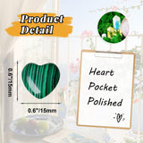 Gros plan sur le coeur malachite, idéal pour la méditation.