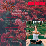 YATOJUZI: petites pierres faciles à emporter pour clarté et concentration