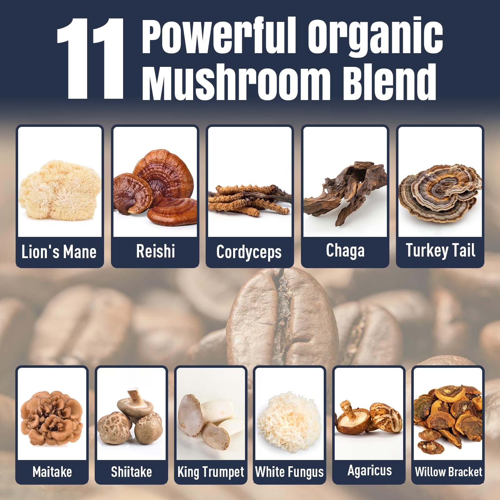 YEKBYOE café champignons adaptogènes Ashwagandha et L-théanine – bien-être potentiel.