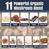 YEKBYOE café champignons adaptogènes Ashwagandha et L-théanine – bien-être potentiel.