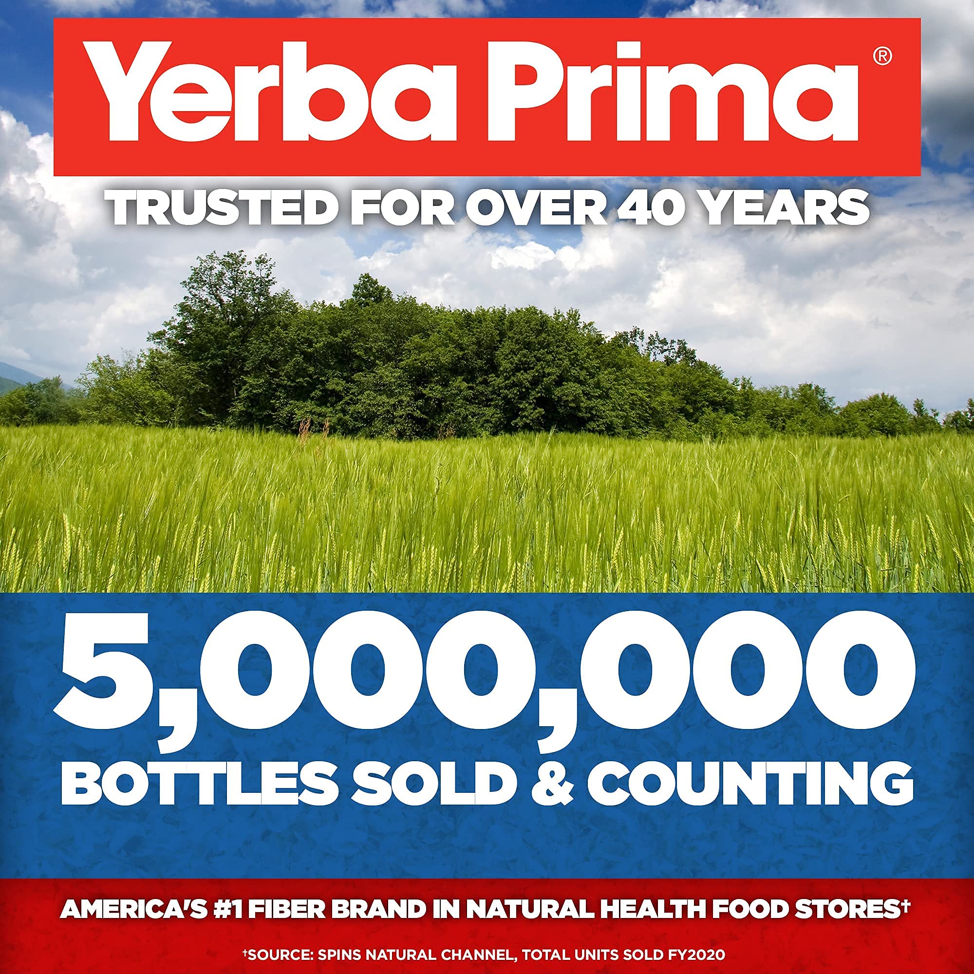 Préparation rapide du psyllium Yerba Prima