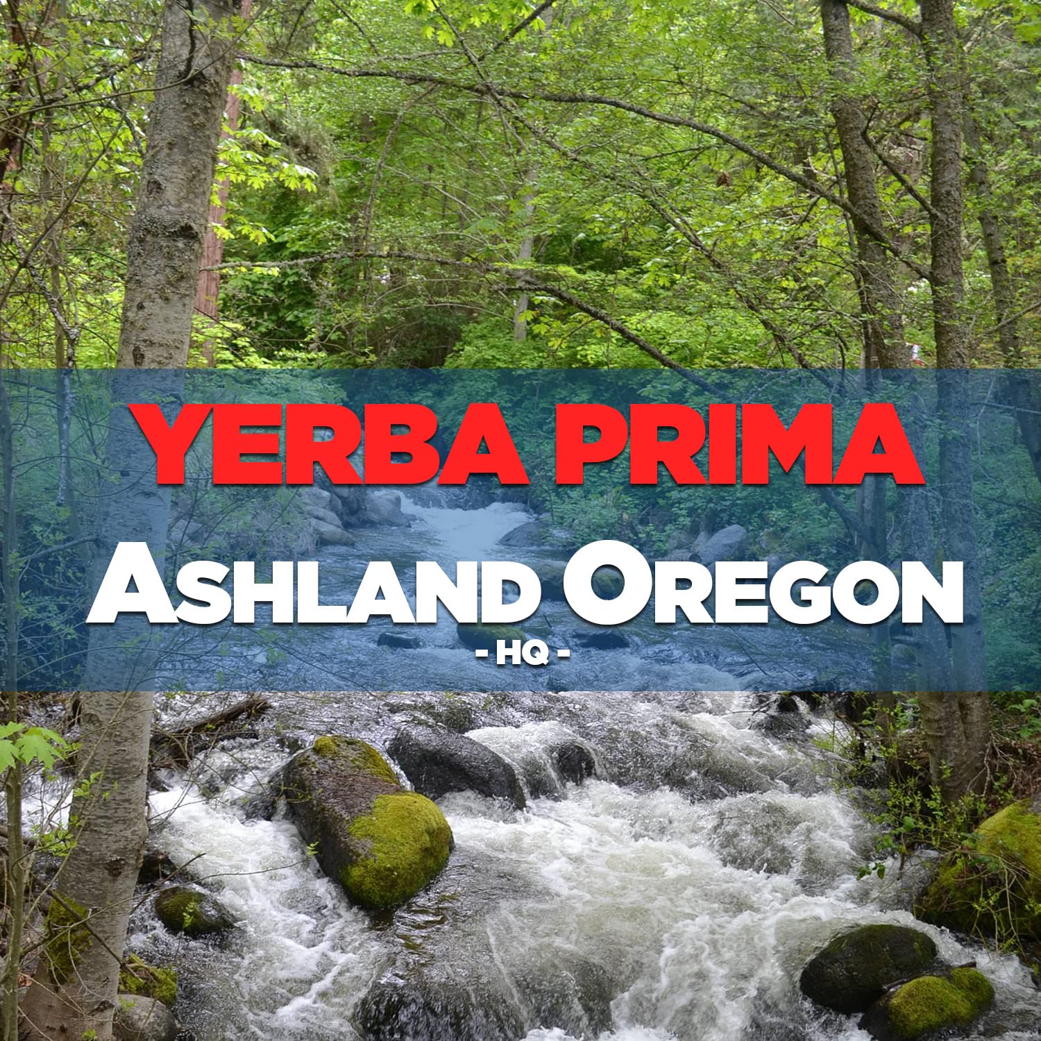 Poudre Yerba Prima prête à être ajoutée au yaourt ou smoothie