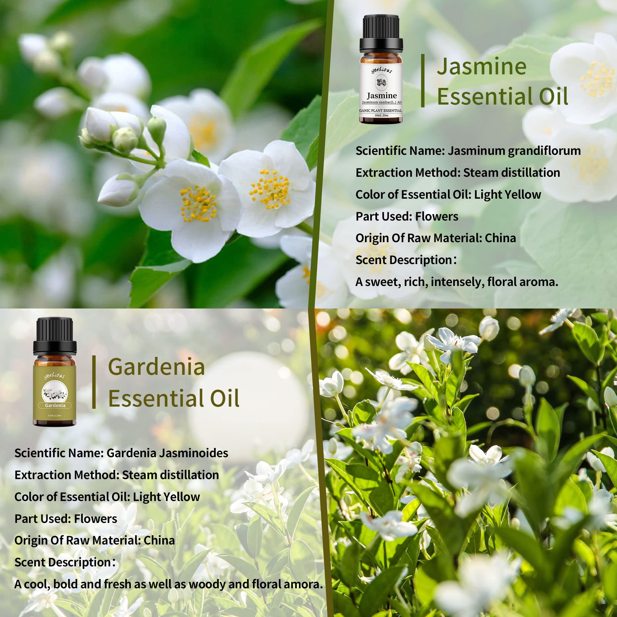 yethious huile gardenia – bouteille ambre, parfum délicat et frais