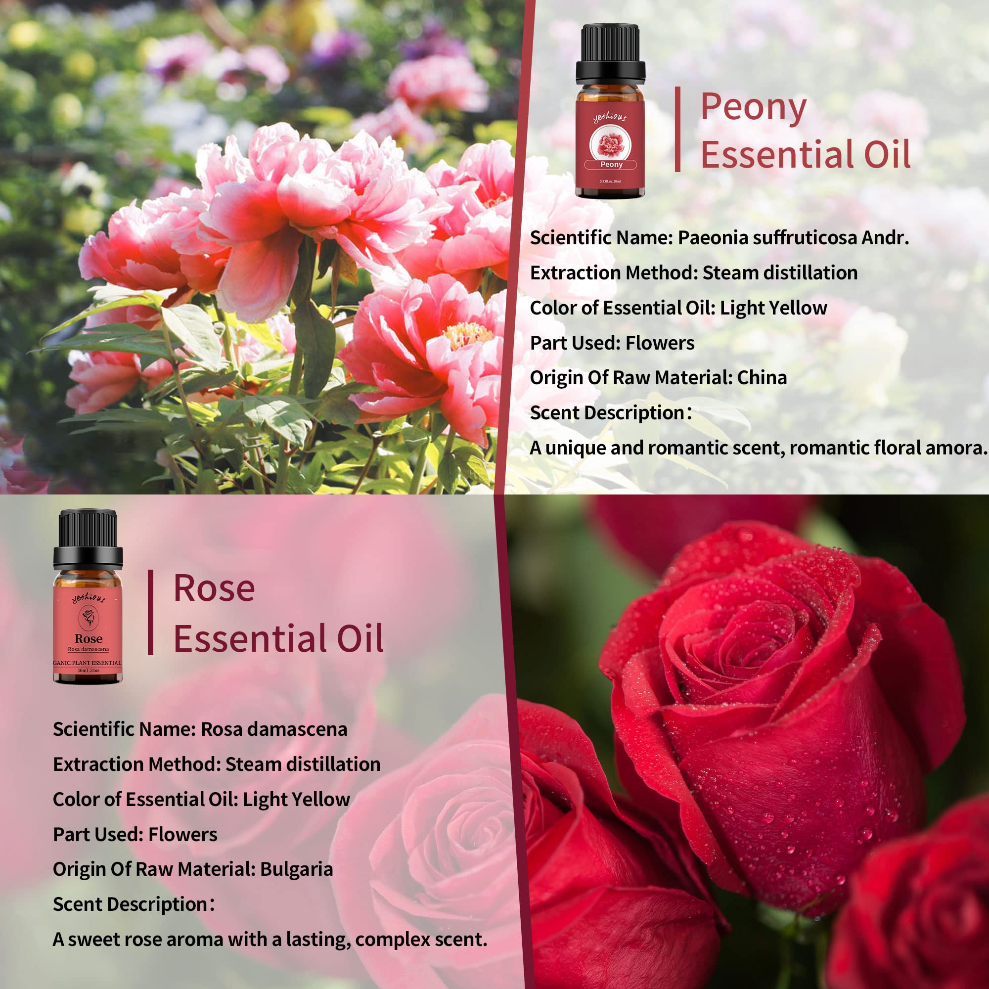 Huile essentielle Yethious de pivoine, flacon 10ml, parfum délicat