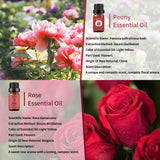 Huile essentielle Yethious de pivoine, flacon 10ml, parfum délicat