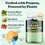Gommes Saw Palmetto dans la main pour une consommation facile et accessible.