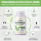 Yokaba dose-quotidienne-moringa: facilité d’intégration dans la vie quotidienne.