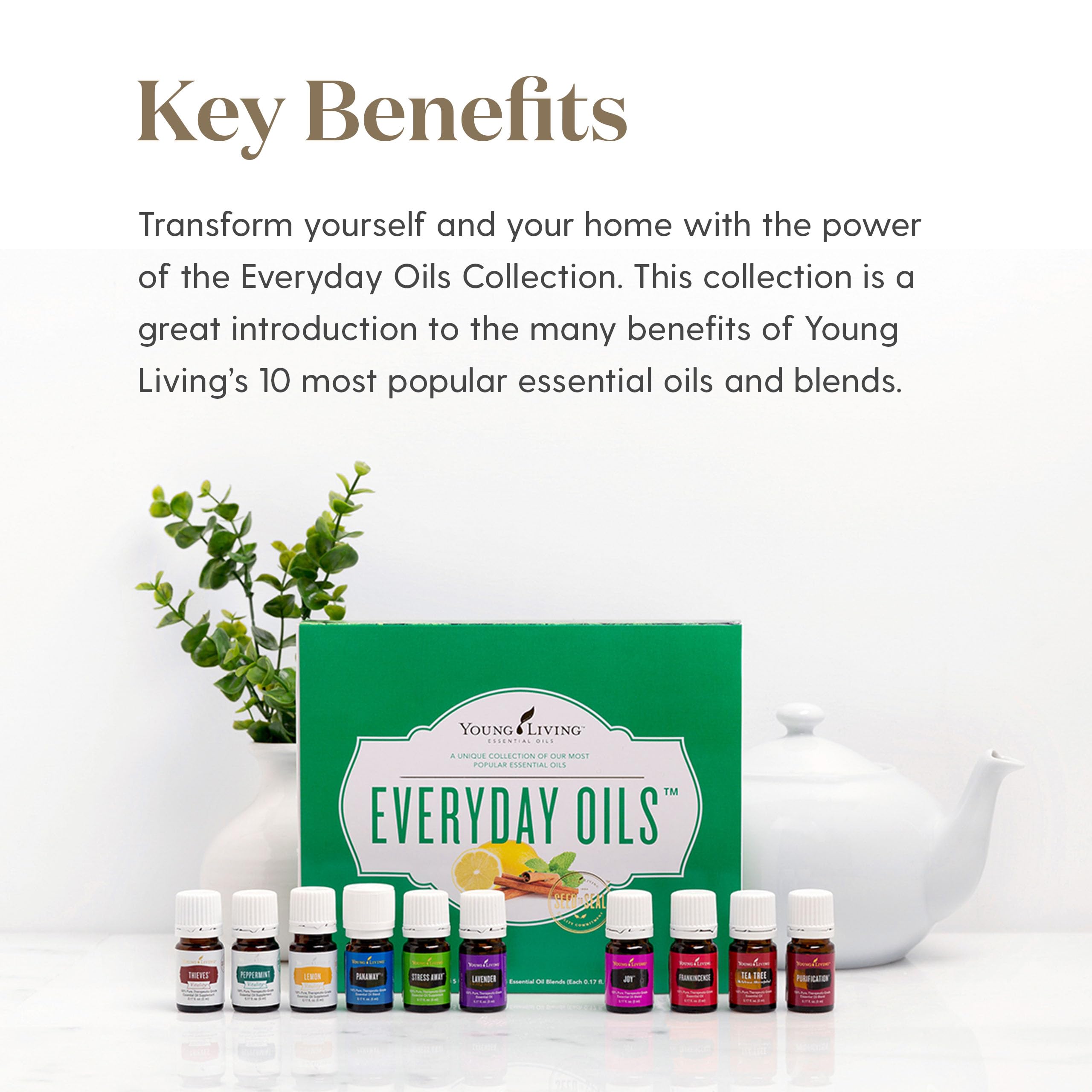 Young Living – flacon massage, idéal pour des massages réconfortants.